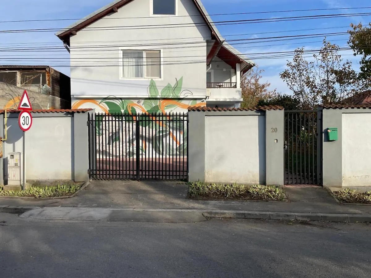Biolocalia House Bucovina Apartment Balotesti